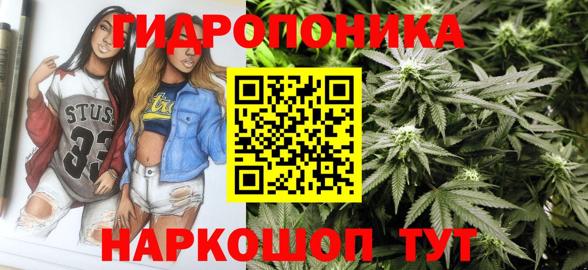 Канабис план Ростов-на-Дону